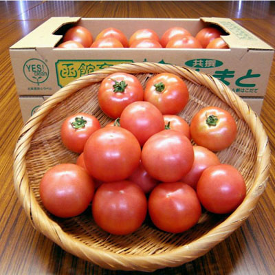 「函館育ち」トマト