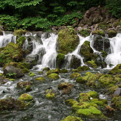 羊蹄のふきだし湧水