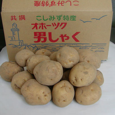 男爵