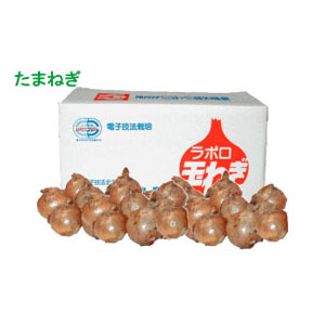 ラポロ玉ねぎ