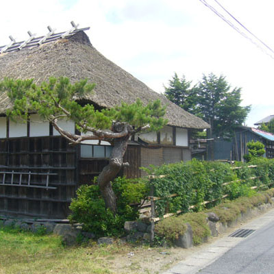 うこぎ