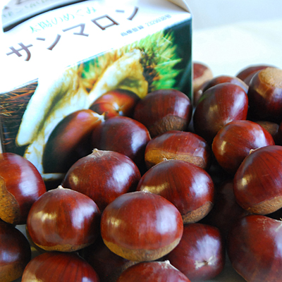 太陽のめぐみ「サンマロン」