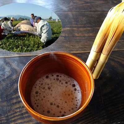 バタバタ茶