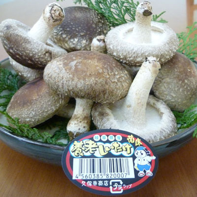 養老しいたけ