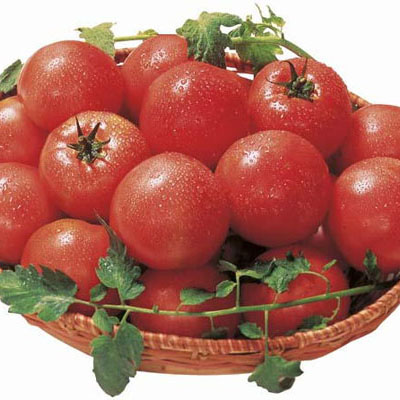 豊トマト