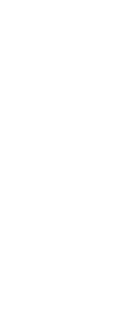 プレミアムないちご体験