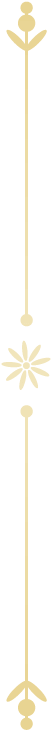 区切り
