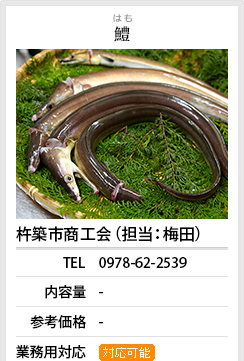 開発商品情報