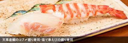 天草産鯛のコブ〆握り寿司・茹で車えびの握り寿司