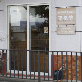 写真１