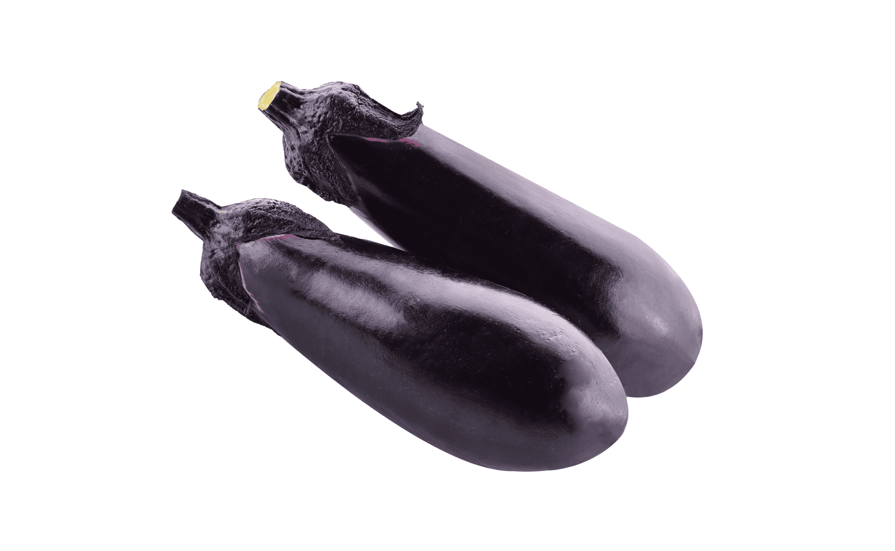 千両なす